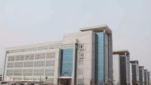 1554703043265921.jpg 640.webp (25).jpg