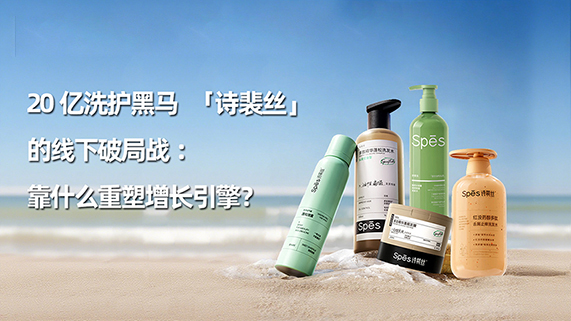 网站插图-诗裴丝案例1.jpg